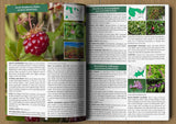 The Forager’s Guide to Wild Foods – Wild Edible Plants & Foraging Field Guide Book