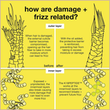 Molecular Hair Oil – Frizz Control, Shine & Heat Protectant for Damaged, Curly & Chemically Treated Hair
